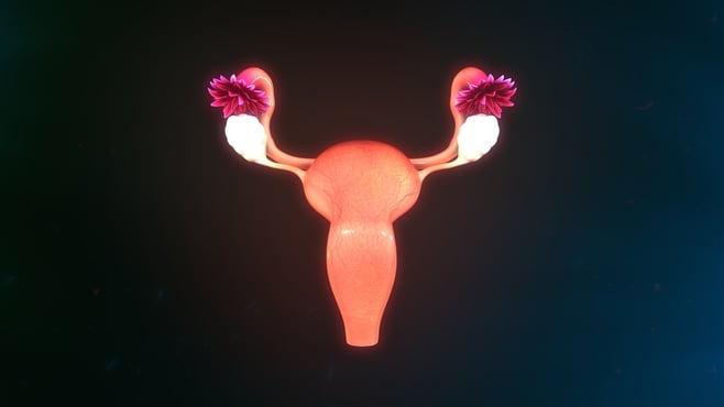 Test de grossesse et d'ovulation – Fibroid Tea