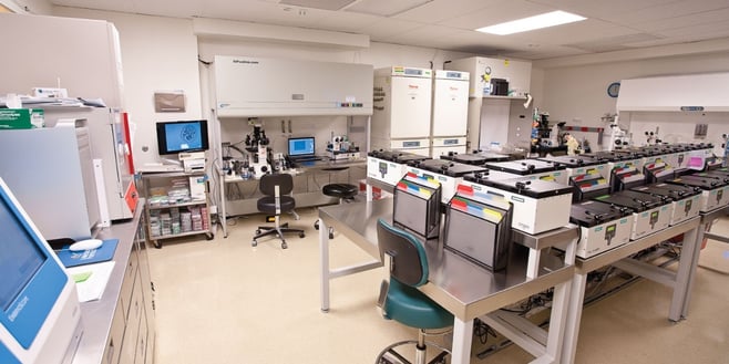 ivf lab