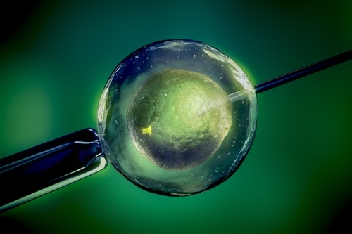 How long does IVF take