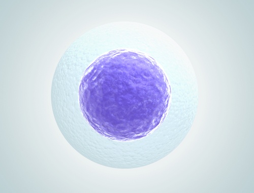 Questions about IVF egg retrieval 